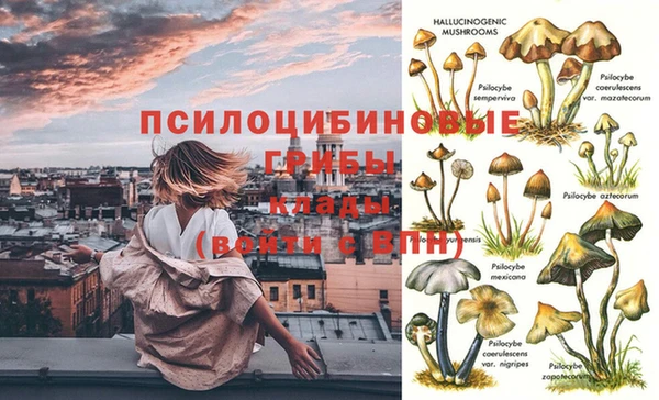 мет Анива