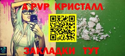 спиды Гусев