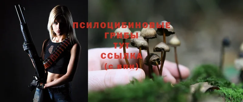 Галлюциногенные грибы Magic Shrooms  Геленджик 